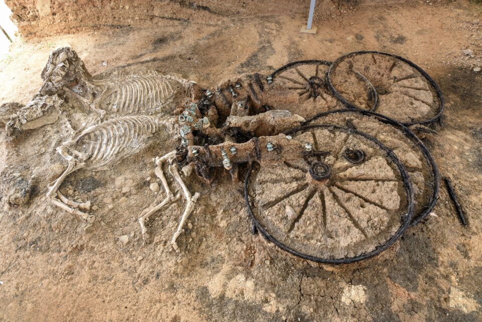 Remains of horses buried 2,000 years ago found in central France