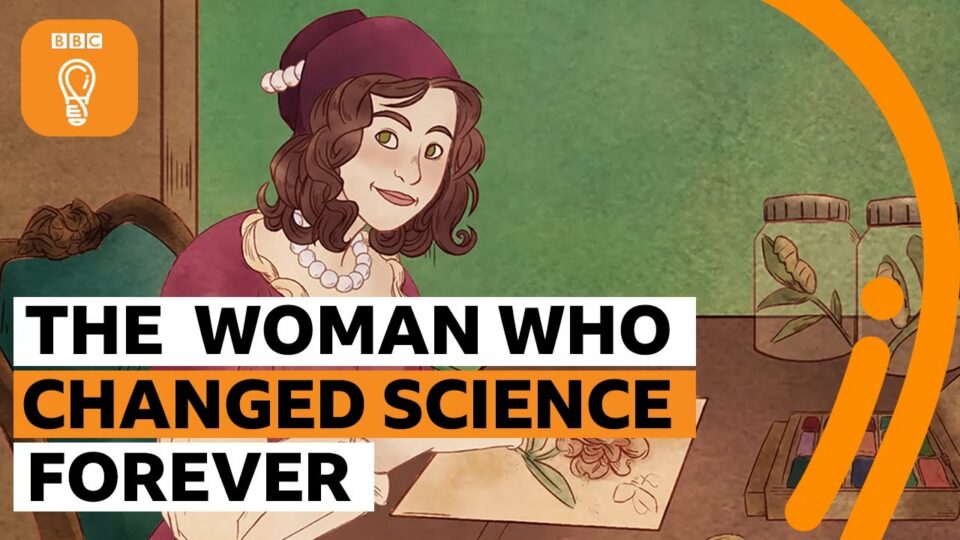 How a little-known 17th-century female scientist changed our understanding of insects
