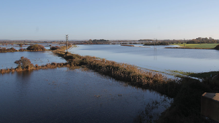 ‘A win-win for farmers’: how flooding fields in north-west England could boost crops