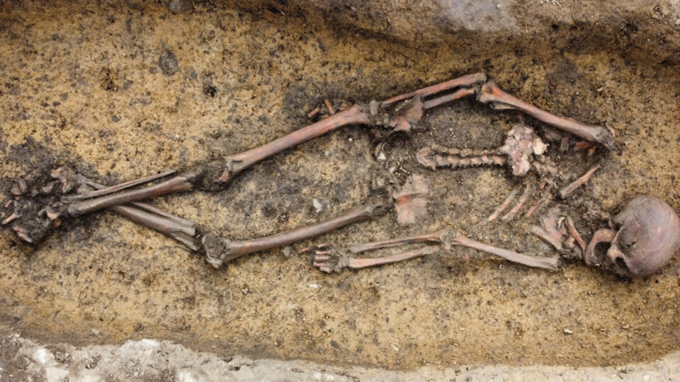 Viking age burial site full of ancient objects found in Denmark, say experts